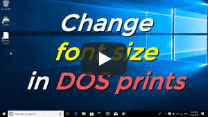 Change font size in DOS prints