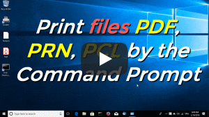 Print files PDF, PRN, PCL by the Command Prompt